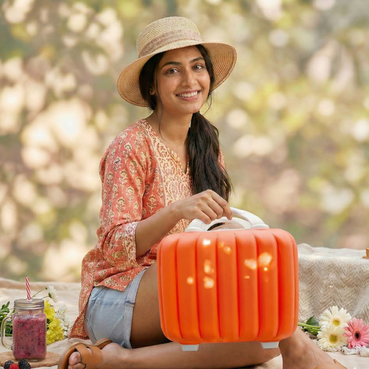 Stripes Mini Suitcase (Orange)